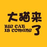 BIGCAT大猫来了