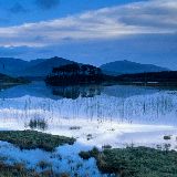 没钱的生活很难受