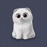 维特根斯坦的沉默