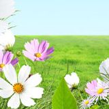 吕皓轩娱乐小分队