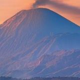 淑英娱乐小分队