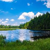 一抹暖心的微笑