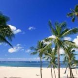 擎天带你看世界