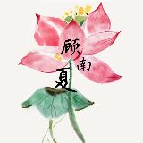 顾南夏小姐的花儿开了