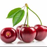 做你的生活百宝箱