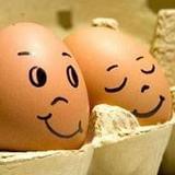 芒果台营养师涂小丁