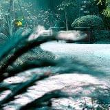 正能量的同行人