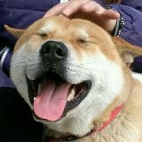 搞笑界的一把手