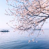 绝地求生二哥