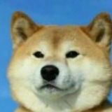 钱三浪的杂货铺