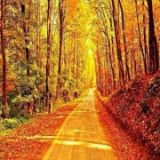 自我陆沉情不禁