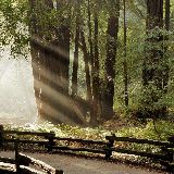 库奇你是我表妹