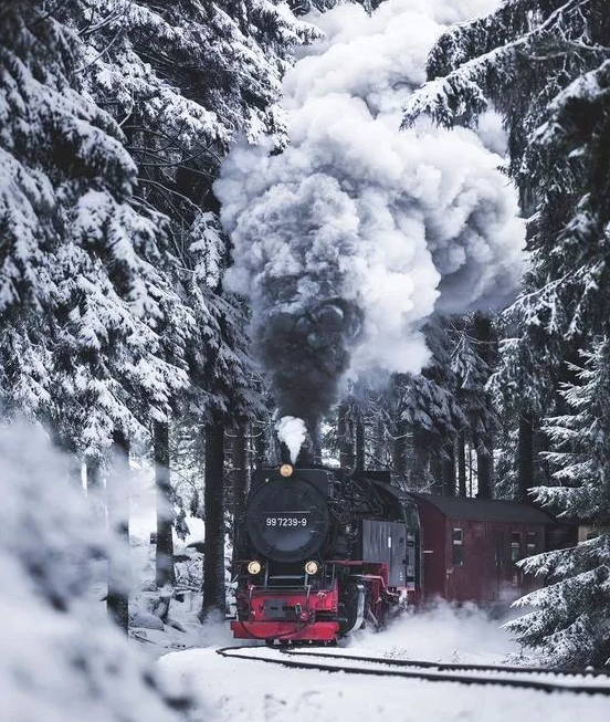 原来坐火车上看雪,这么美!你感受过坐在冰雪世界的火车看美景么