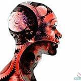 镜头诠释全世界的美