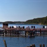 任杰娱乐小分队