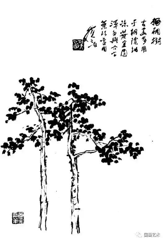 白描百树画谱中国名家示范树木的画法国画各种树的画法