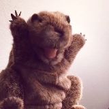 我才不是幼稚鬼