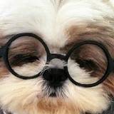 逗逼的世界你不懂