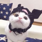 我负责带你玩