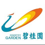 碧桂园点赞泰安