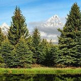 南都娱乐小分队