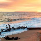 萧萧娱乐小分队