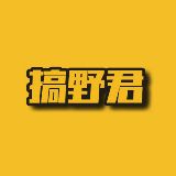 搞野君
