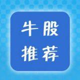 股市老杨