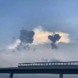 小甜饼收集爱好者