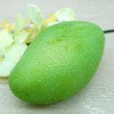 小虫虫娱乐