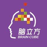 脑立方全脑开发
