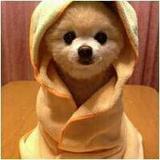 时间管理小秒针