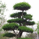 影视短片分享