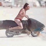 那些奇葩的小伙伴