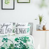 晨晨的娱乐世界