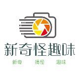 新奇怪趣味