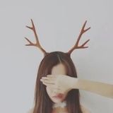 天天更新娱乐圈