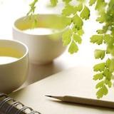 小诸葛风水命理