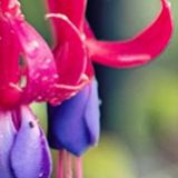 当罗娱乐小分队