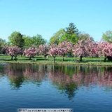 美妆的穿搭避雷针
