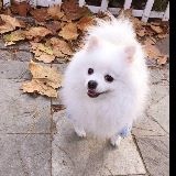 中玉世纪