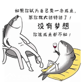 咸鱼也有梦想