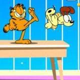 娱乐的大壹点通