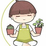 大橙家居