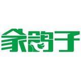 家鸽子创意家装