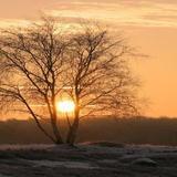 我们之间的感情