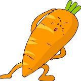 爱动漫的胡萝卜