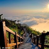 今人断了肠爱娱乐