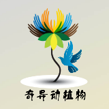 奇异动植物