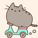 炜涛娱乐